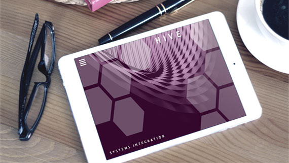 Donec Suscipit Dim Euismods